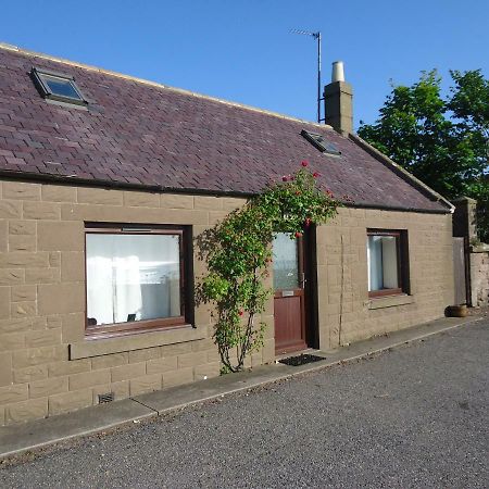 Myrtle Cottage Johnshaven エクステリア 写真