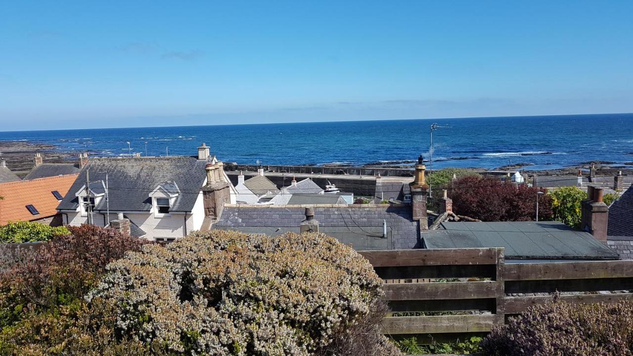 Myrtle Cottage Johnshaven エクステリア 写真