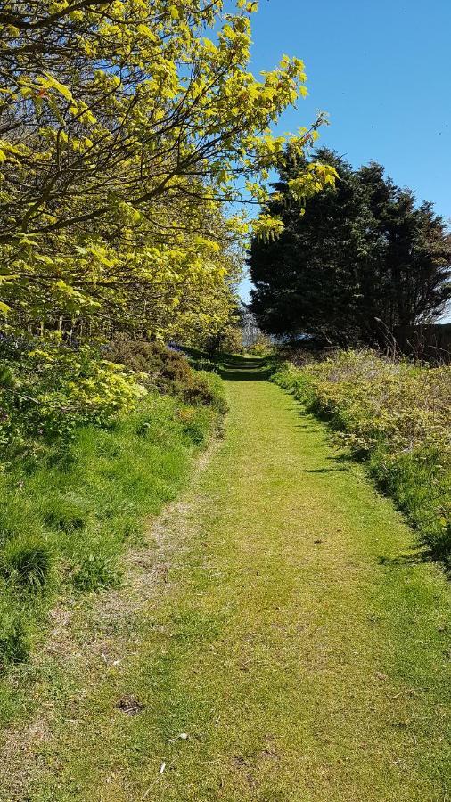 Myrtle Cottage Johnshaven エクステリア 写真