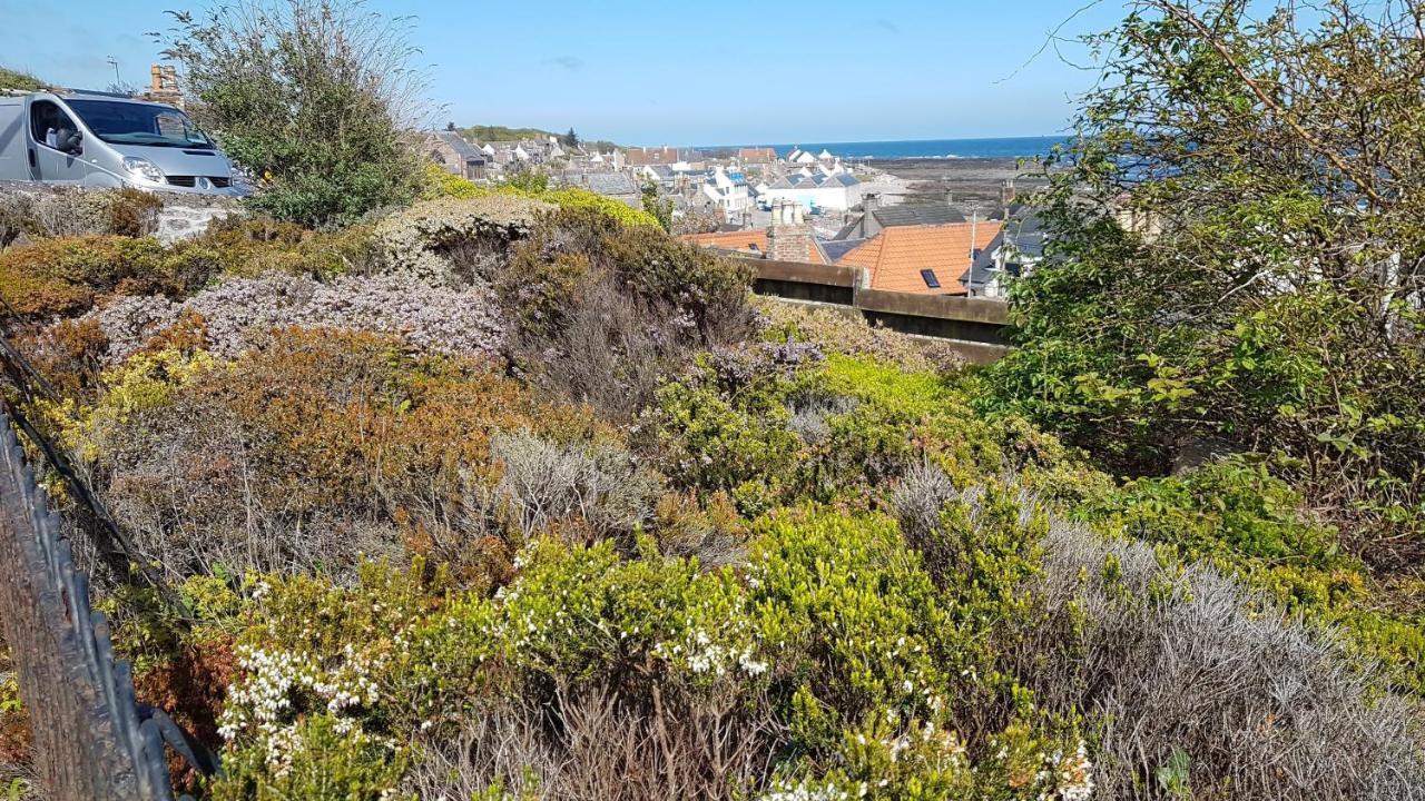 Myrtle Cottage Johnshaven エクステリア 写真
